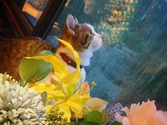 -IFIF 如果花園(宽厚里店)