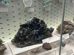 -浙江自然博物院(杭州馆)