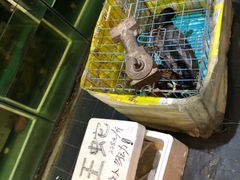 -老把头野鱼馆