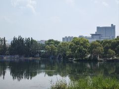 -百脉泉景区