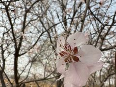 -绿堤公园