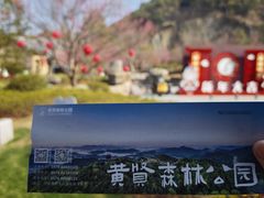-黄贤森林公园