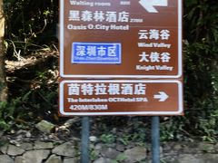 -深圳东部华侨城茵特拉根酒店