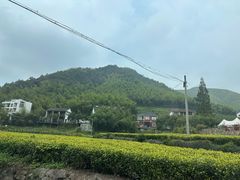 -莫干山风景区