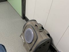 -半岛宠物医院24小时(科华中路店)