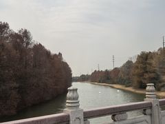 -上海海湾国家森林公园