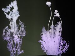 -时代美术馆-成都馆