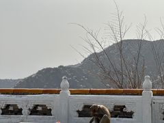 -妙峰山风景名胜区