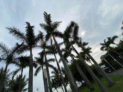 -深圳湾公园(南山区)