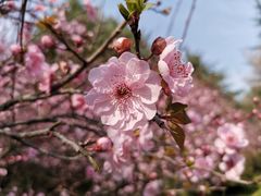 -荆川公园