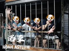 -屋有岛沉浸游戏旗舰店(中山公园店)