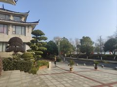 -岳阳阿波罗御庭酒店(岳阳楼区南湖广场店)