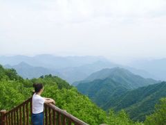 -塔云山