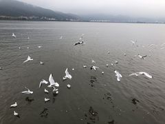 -昆明洲际酒店