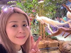 -正佳雨林生态植物园