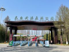 -黄海国家森林公园