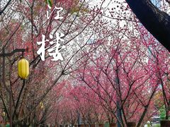 -望江楼公园