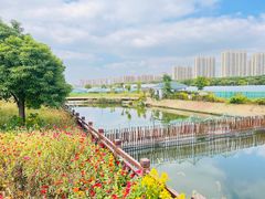 -菊园百果园