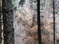 -硗碛藏寨·神木垒景区