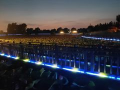 -羊亭河湿地公园