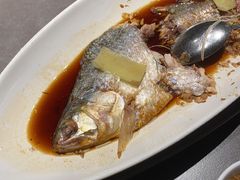 -佬太公海鸭·海鲜大排档(上海总店)