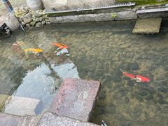 -前童古镇