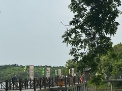 -天目湖山水园