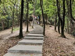 -火炉山森林公园