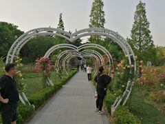 -昆山城市生态森林公园