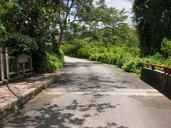 -西双版纳傣族园