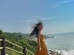 -广东惠东海龟国家级自然保护区
