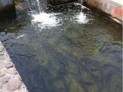 -北京水岸山吧度假村(雁栖镇店)