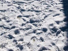 -太子岭滑雪场