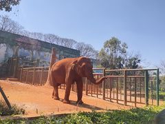 -昆明动物园