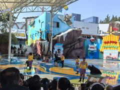-海合安成都极地海洋公园