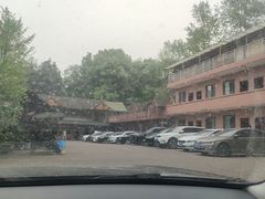 -铁山坪森林公园