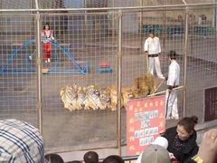 -石家庄市动物园