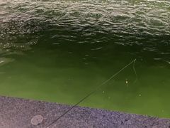 -DGE季风钓虾营地·团建·聚会
