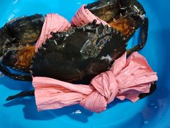 -凤城礼记鱼翅海鲜酒家(新马路总店)