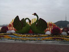 -野狸岛