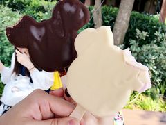餐饮设施-上海迪士尼度假区
