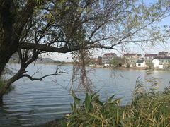 -长兴太湖图影湿地文化园