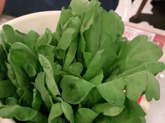 -同仁四季椰子鸡(福田东园总店)