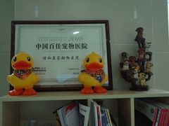 -谐和益家动物医院·免疫绝育·血液透析·宠保定点医院(高新伊藤分院)