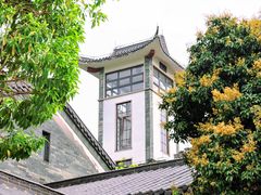 -广州神农草堂中医药博物馆