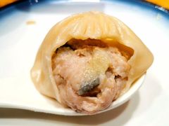 大鲵鱼包子-印象鲵宴·张家界地标美食名片(溪布街店)