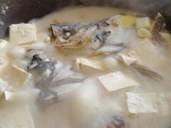 -姥家大锅台水库渔家
