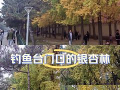 -钓鱼台国宾馆