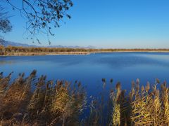 -野鸭湖国家湿地公园