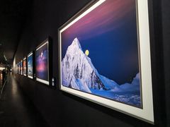 -罗红摄影艺术馆